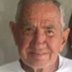 Pedro Luiz dos Reis