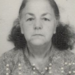 Maria Jose Batista Ribeiro