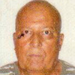 Agostinho Alvarenga Ribeiro Neto
