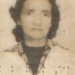 Maria da Conceição M. Machado