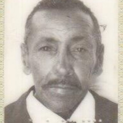 Francisco Arnaldo