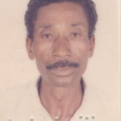 Josè Adelino Reis