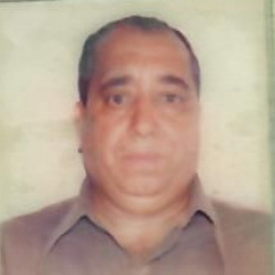 José Alves Macieira