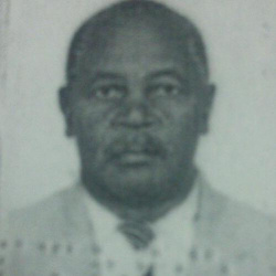 Agostinho Jacinto Ribeiro