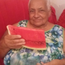 Maria José Ferreira
