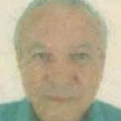 Menelick Rômulo Pereira Quites
