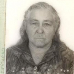 Maria da Conceição Palhares