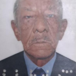 Francisco Alves de Araújo