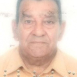 Artur Pedro Parreiras